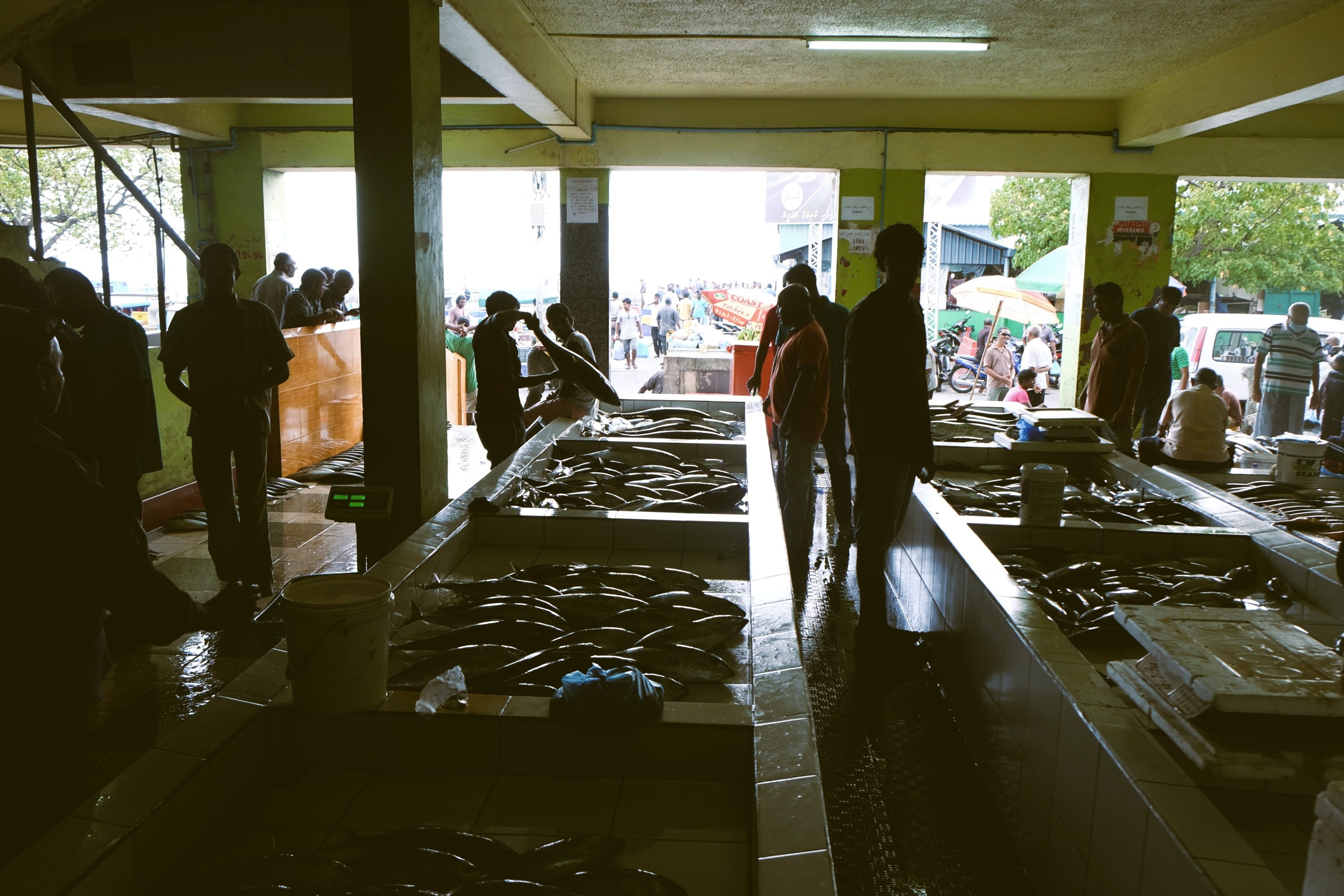 Inside the fish market in Malé, Maldives. © EHBLX